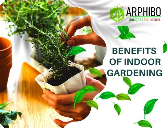 Benefits of Indoor Gardening