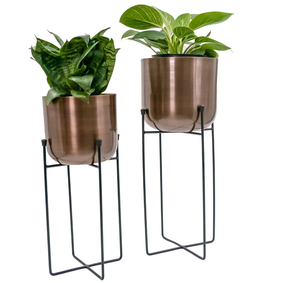 Keeping Indoor Plants in Metal Planters